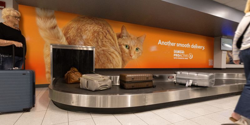 IAMS Smooth Delivery